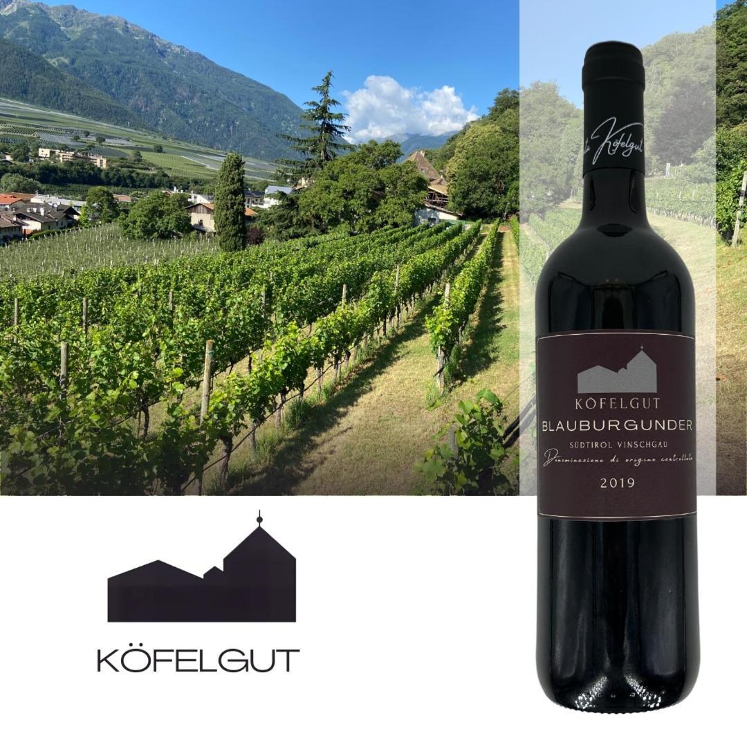 Weingut Koefelgut - Turris Vini Castelbello Exterior foto